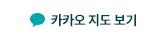 카카오지도